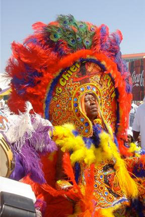 Mardi Gras Indian