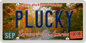 Plucky Survivors See America!